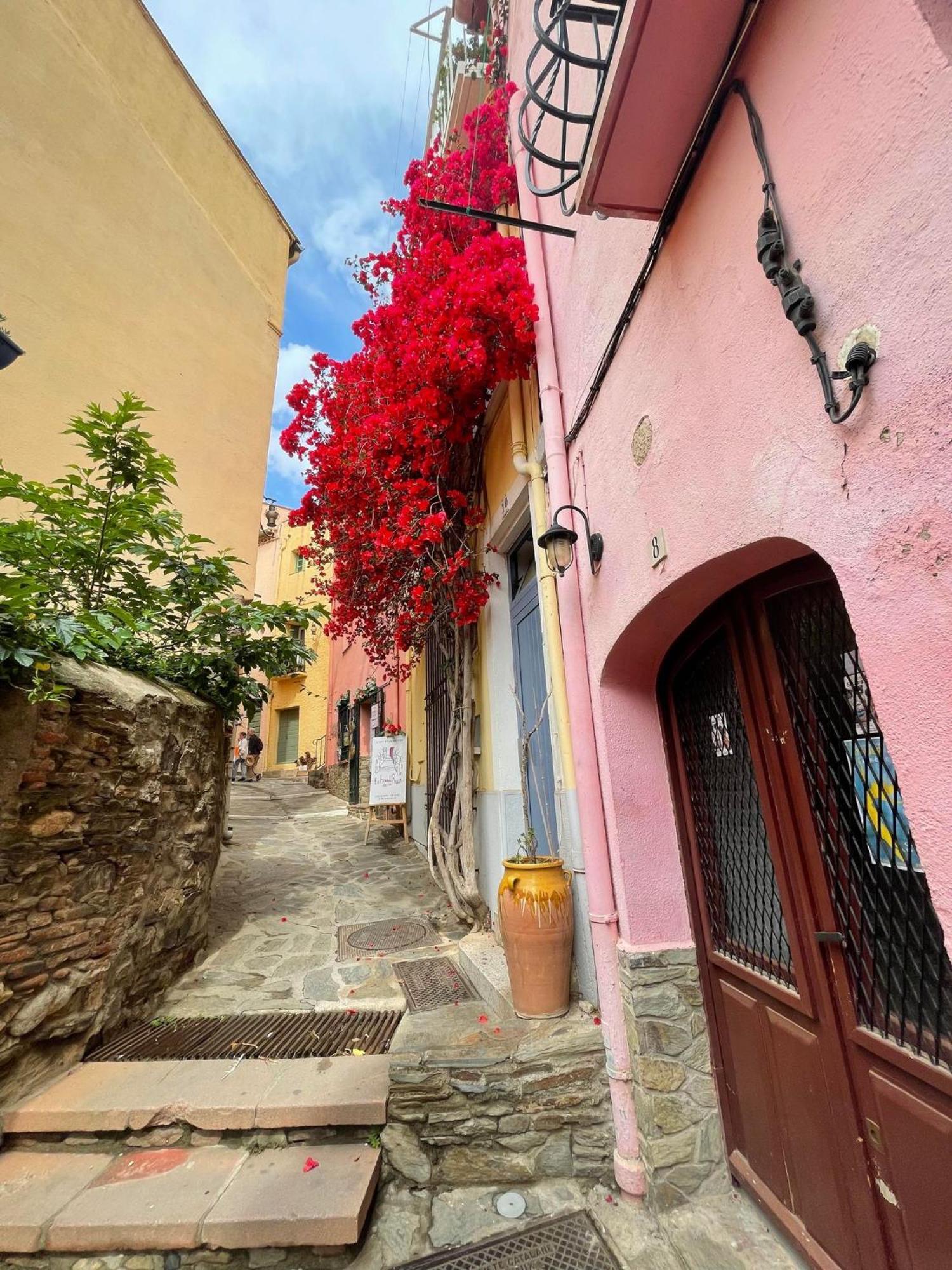 4mir11jaune- T2 En Duplex Idéalement Situé Pour 4 Personnes * Collioure